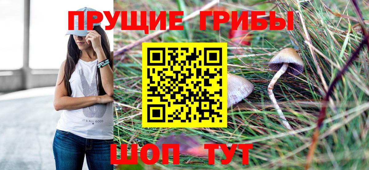 Заволжье  Псилоцибиновые грибы Psilocybine cubensis  Вход с VPN 