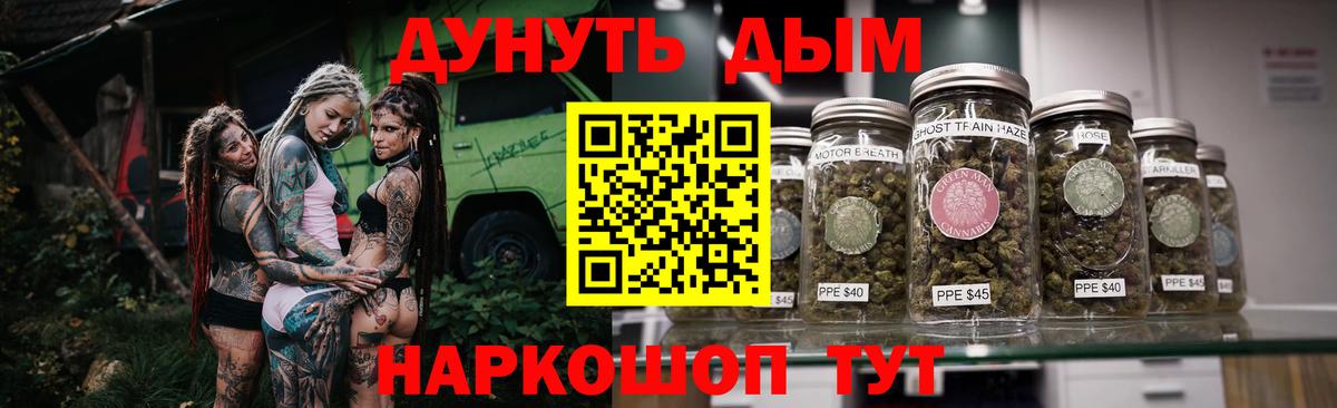 Заволжье  Конопля OG Kush  Вход с VPN  Марихуана White Widow  Бошки Шишки план  Конопля индика 